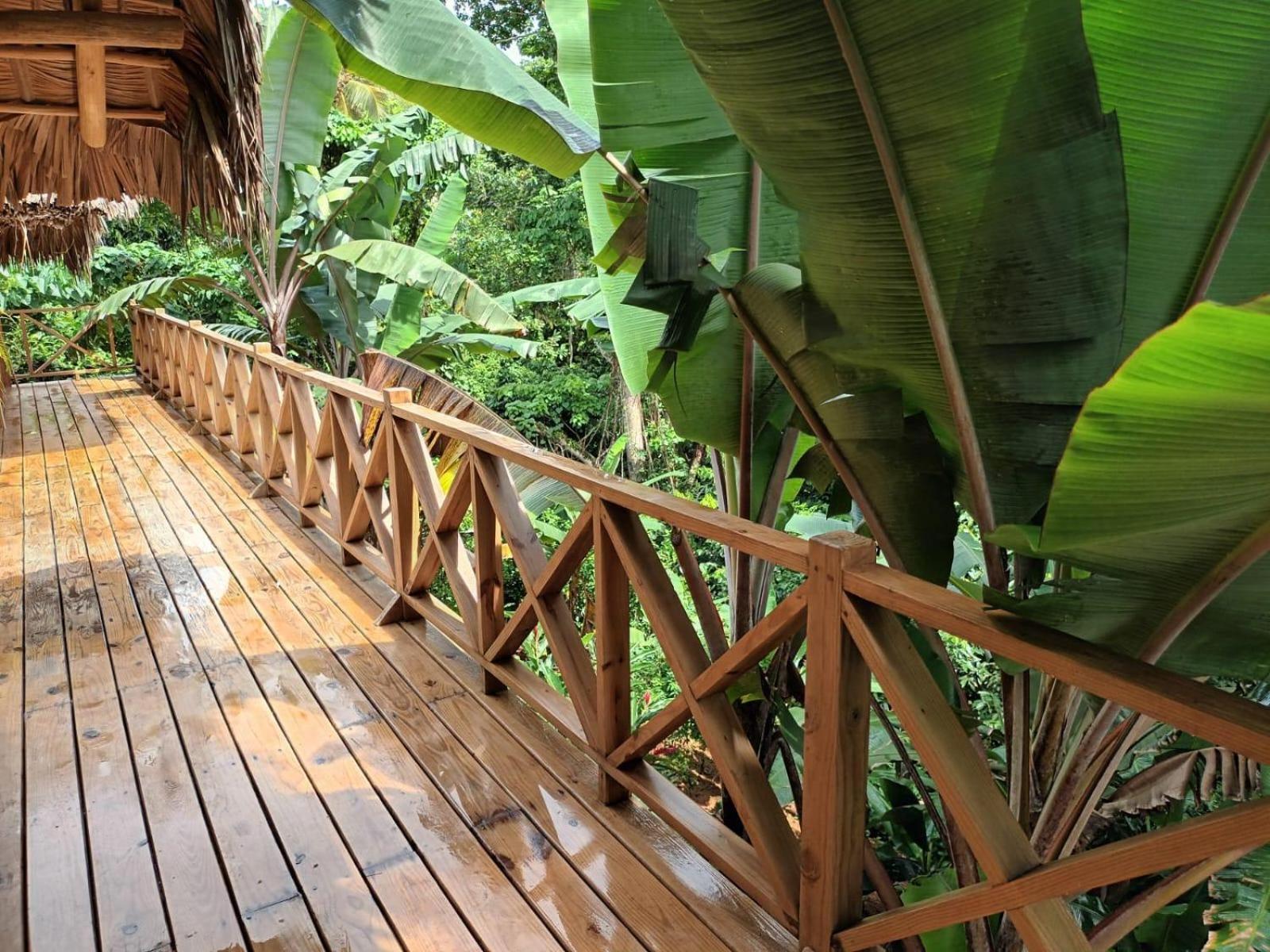 Samo Eco Lodge Las Terrenas Luaran gambar