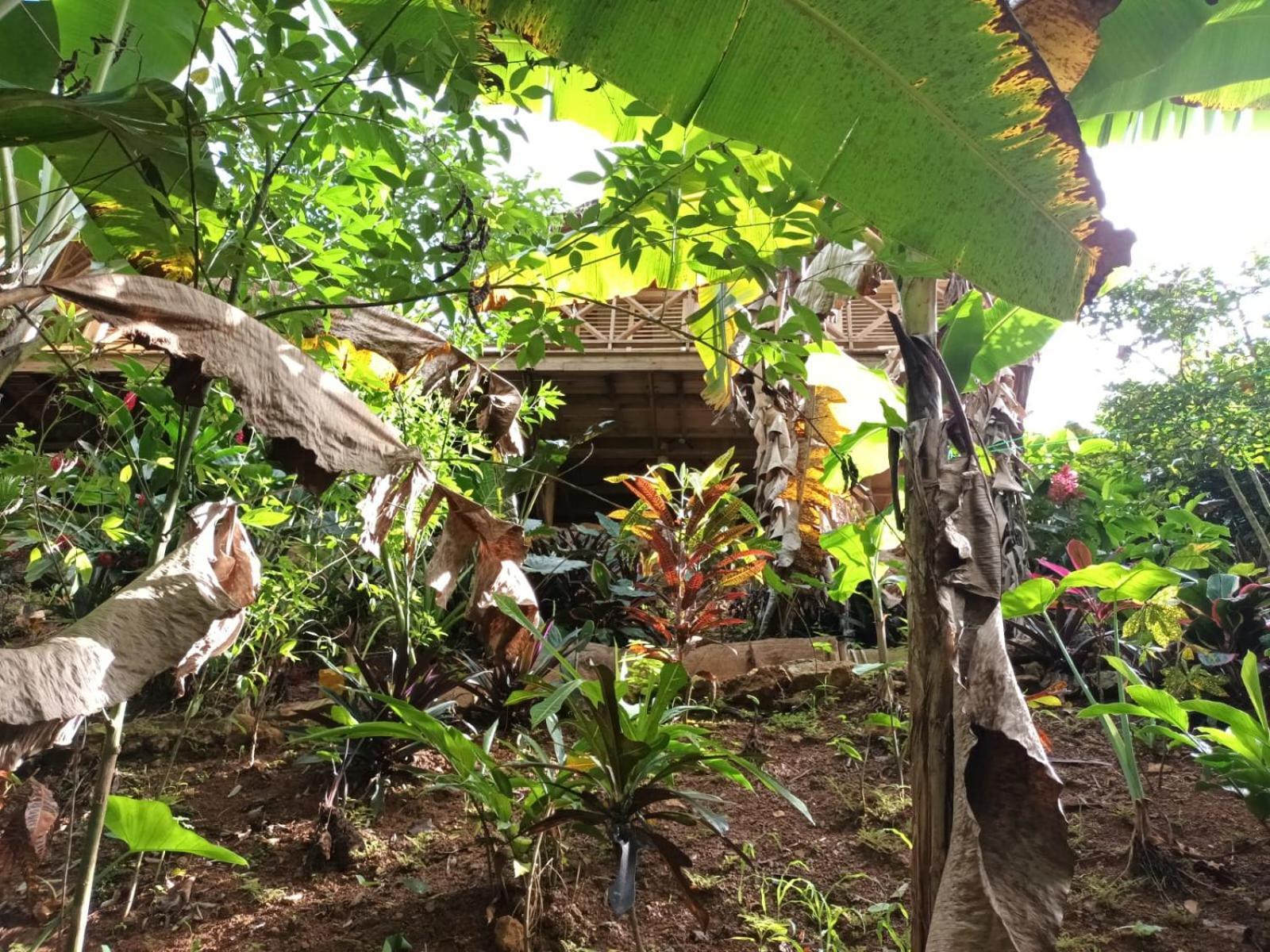 Samo Eco Lodge Las Terrenas Luaran gambar